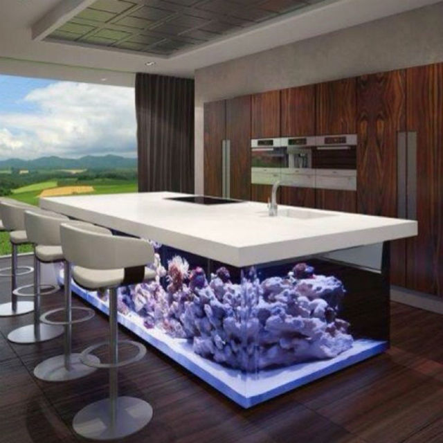 Top modern aquariums- modern home decor