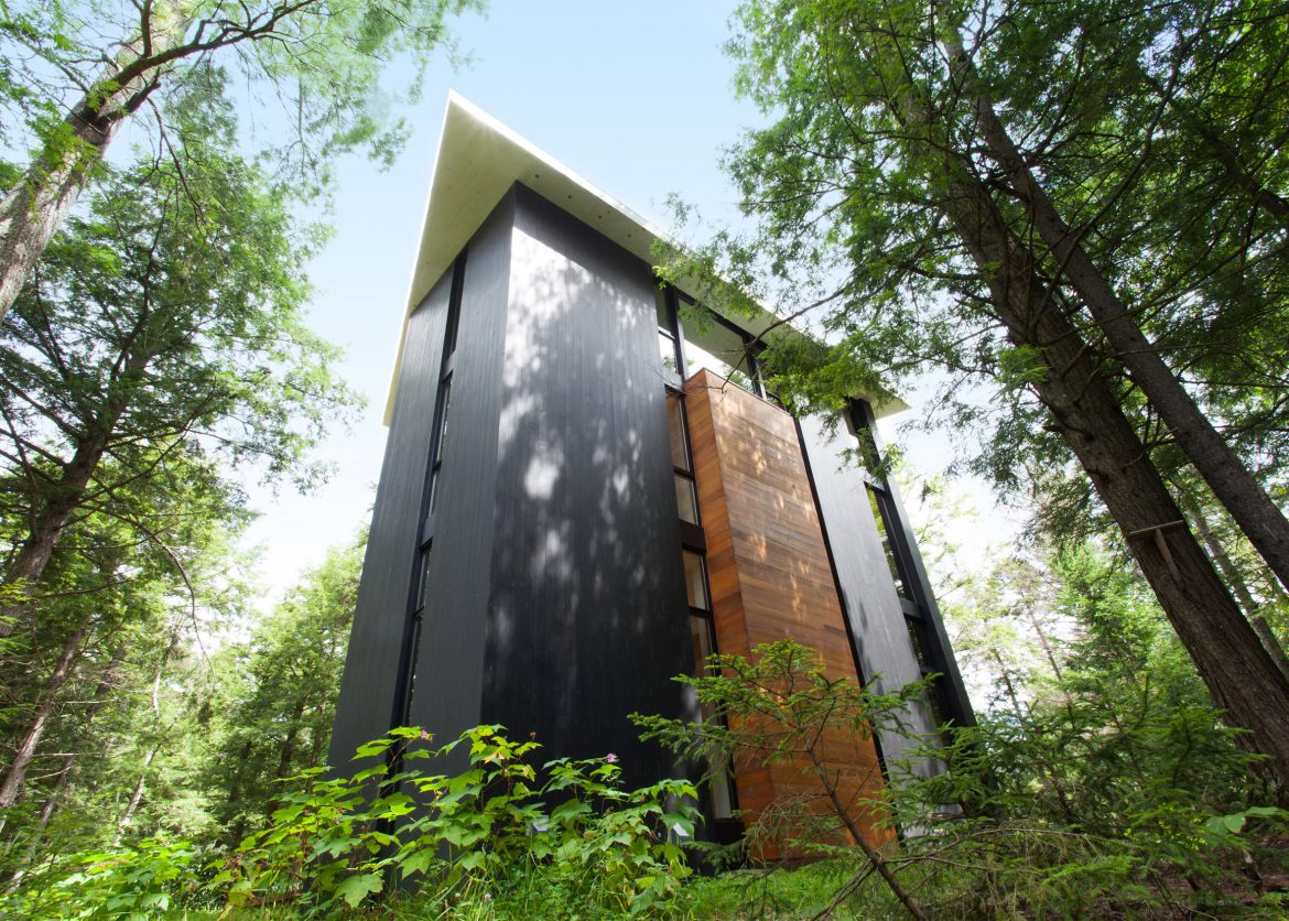 A forest house perfectly designed for a sculptor