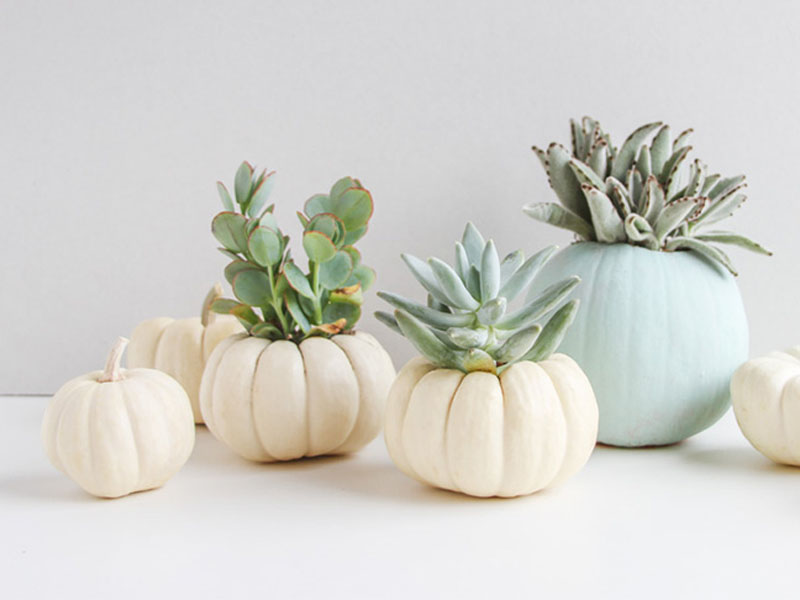 Welcome, Fall: 8 ideas for bringing fall decor into your home