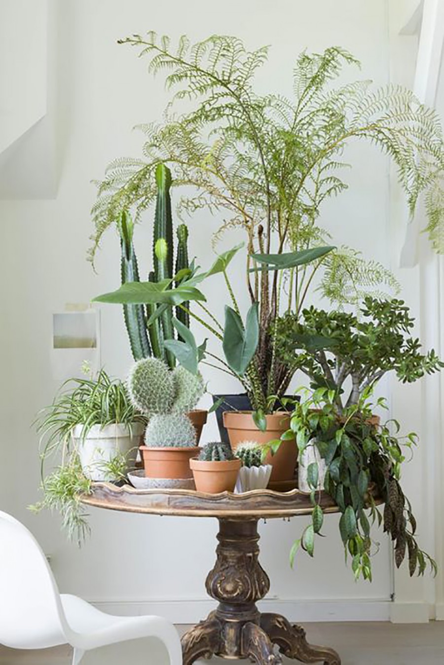 10 HAPPY LIVING ROOM IDEAS WITH PLANTS
