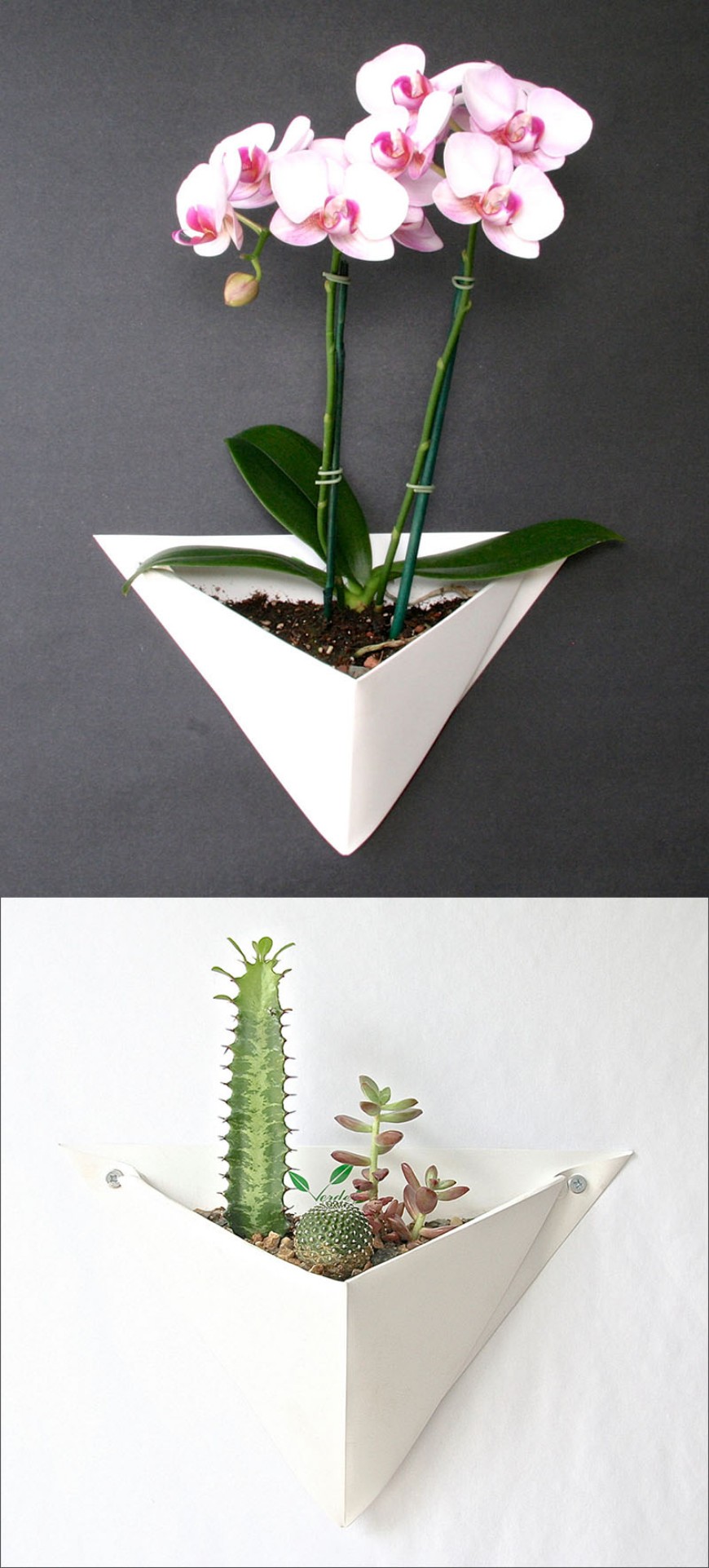 10 Modern Wall Mounted Plant Holders To Decorate Bare Walls (2)