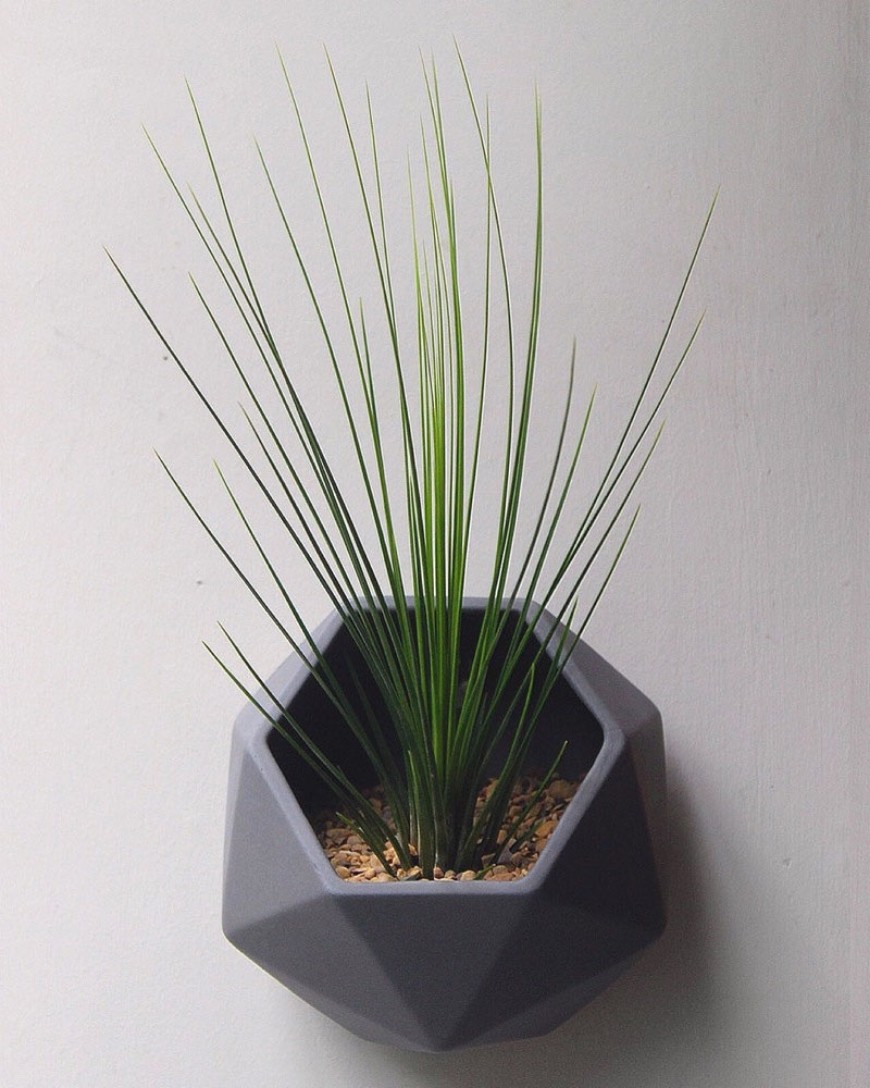 10 Modern Wall Mounted Plant Holders To Decorate Bare Walls (8)