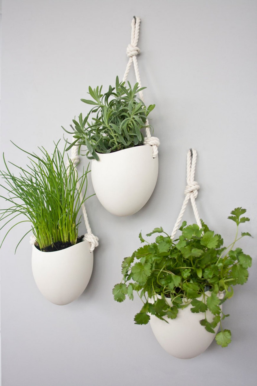 10 Modern Wall Mounted Plant Holders To Decorate Bare Walls